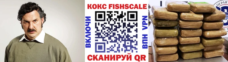 COCAIN Fish Scale  KRAKEN ТОР  Котельники 