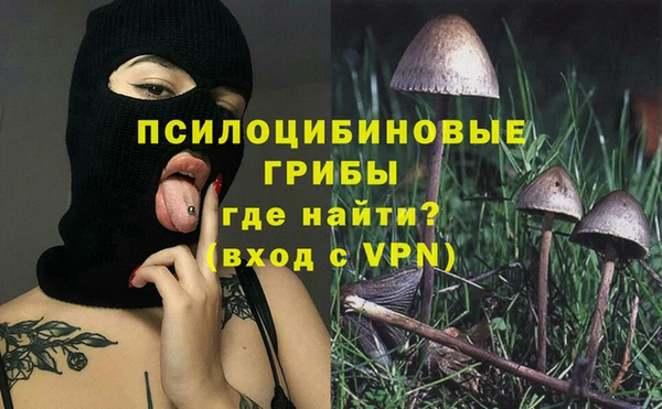 мяу мяу мука Алексеевка