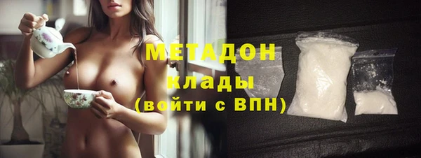 стаф Алзамай