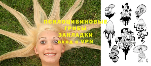 гидра Алексин