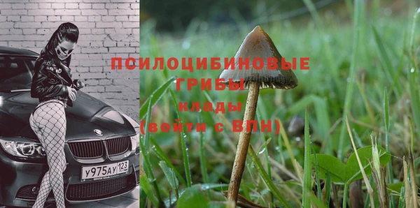 мяу мяу мука Алексеевка