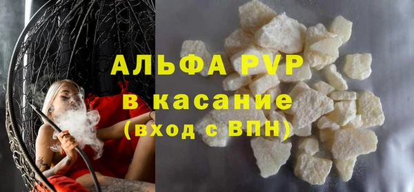 гидра Алексин