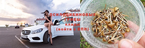 гидра Алексин