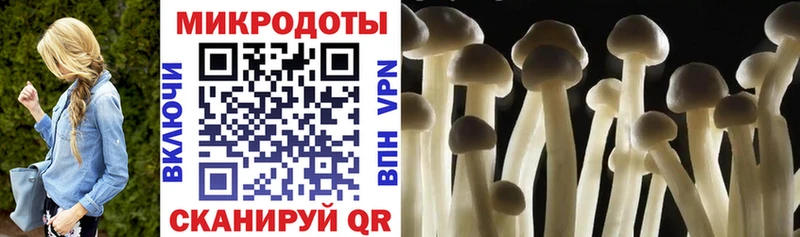 Галлюциногенные грибы Psilocybe Котельники